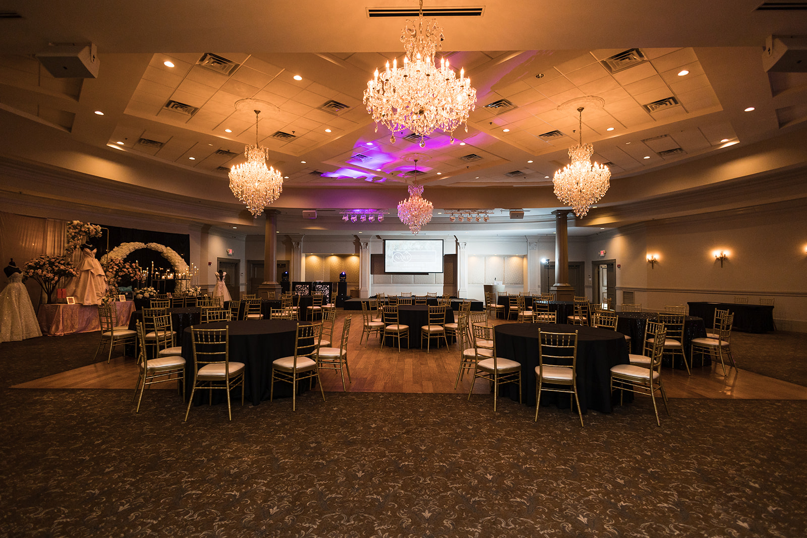 Copy of NAWP Andrea de Anda Photography 038